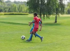 日仁川赛事,在即,国乒主力备,立博体育官网,APP下载,注册领彩金,官方网站,网站入口