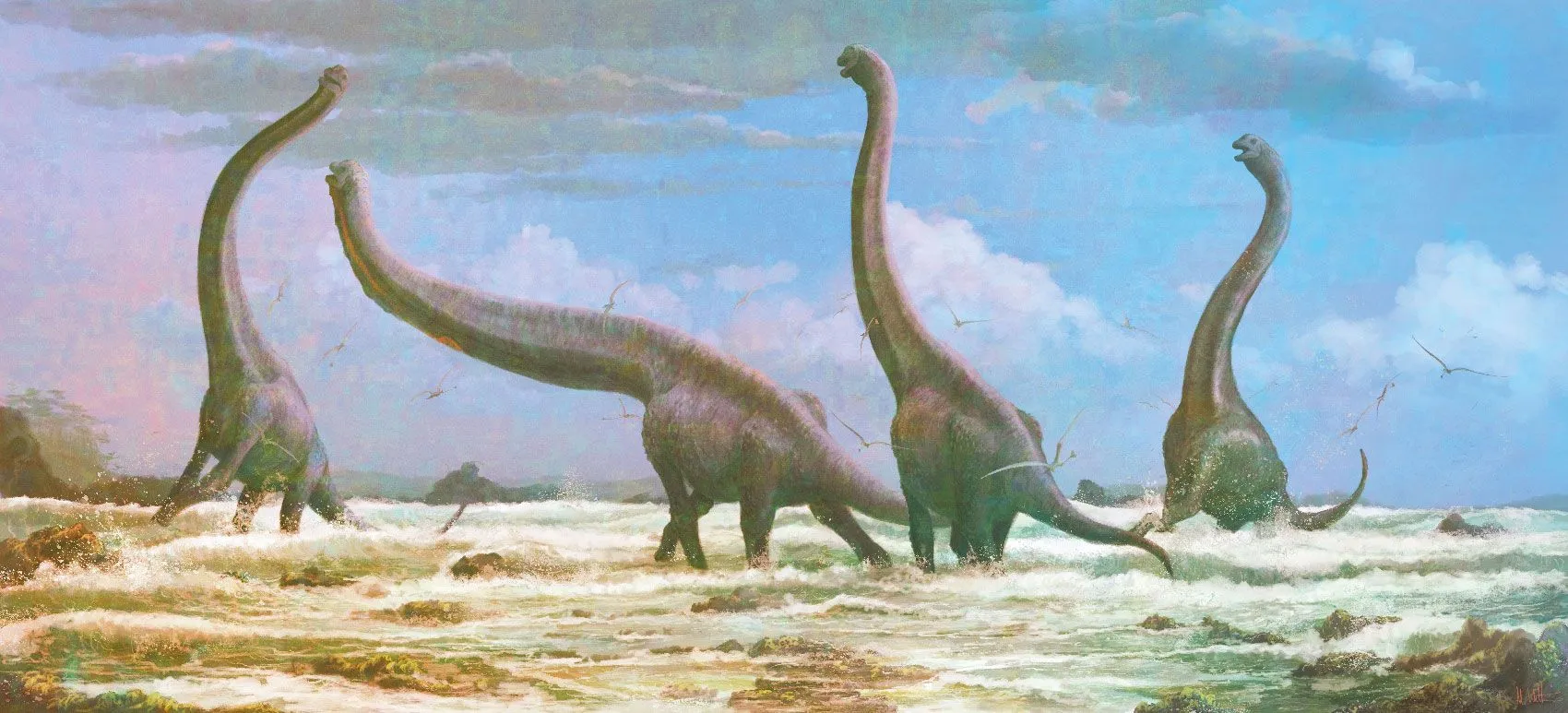 安泰普与普,渡卡塞利,对决分析,立博体育官网,APP下载,注册领彩金,官方网站,网站入口