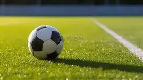 立博体育 产品 102131 q11