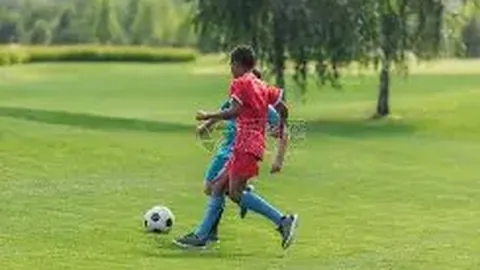 3月29日仁川赛事在即，国乒主力备战升级，莎头与小石头动态更新！