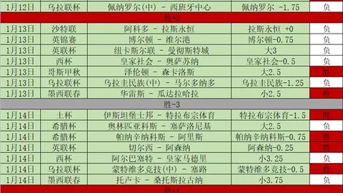 猛龙常规赛力克奇才